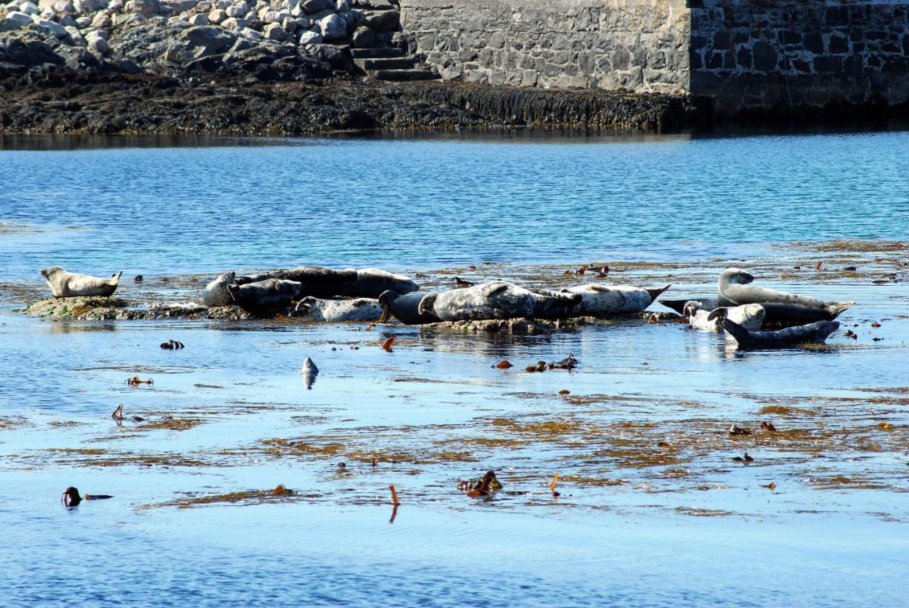 Orsay House Bed & Breakfast Portnahaven Luaran gambar